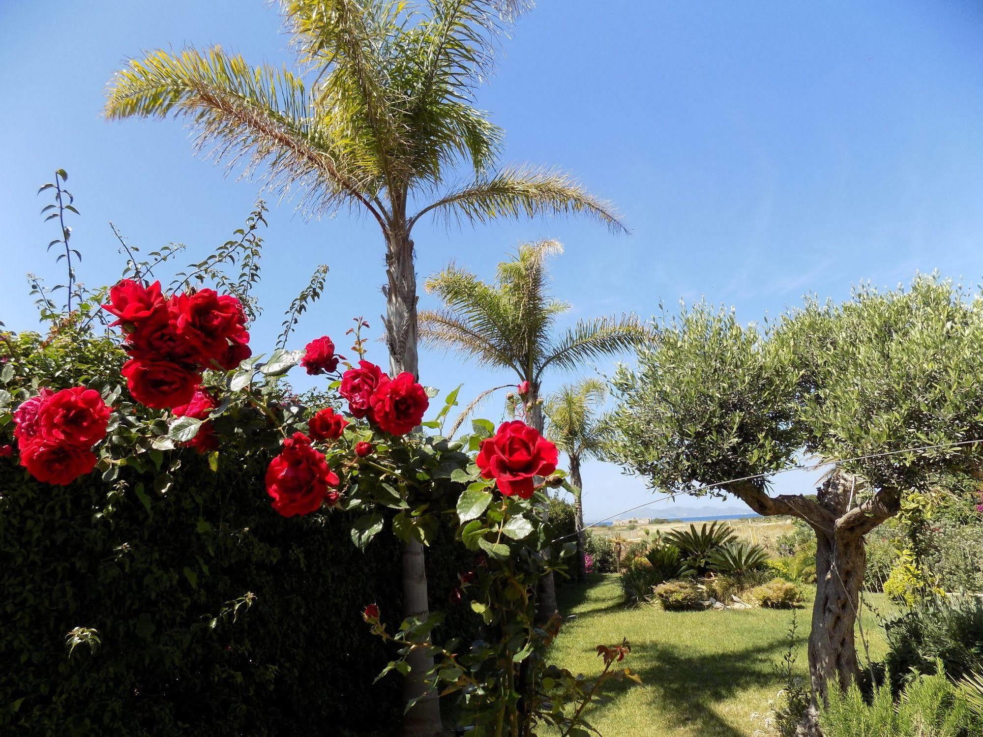 - Vista Egadi - Bed & Breakfast Torre Nubia Exterior photo