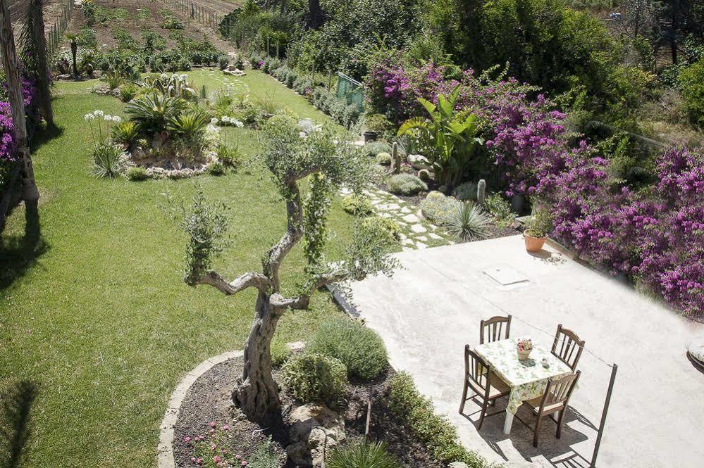 - Vista Egadi - Bed & Breakfast Torre Nubia Exterior photo